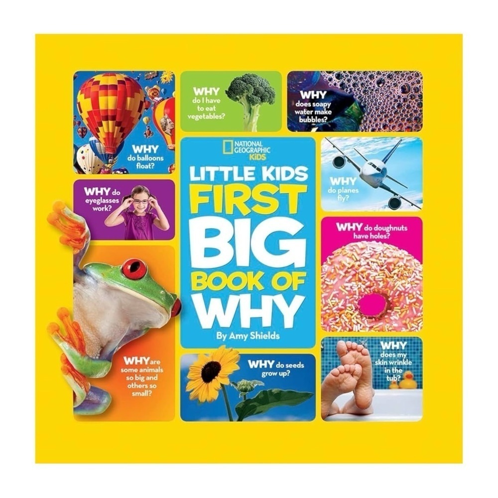 First Big Book of Why Book by Amy Shields